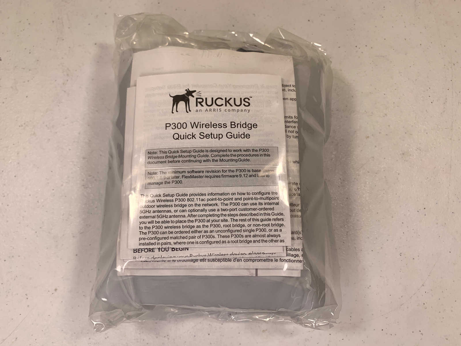 Ruckus Wireless 901-P300-US02 Pre-Provisioned Outdoor DEVICE ONLY