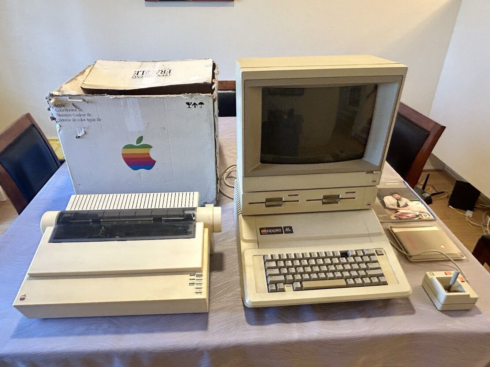 Vintage Apple IIe (2e) Computer with Printer, Dual Disk Drive - A9M0108