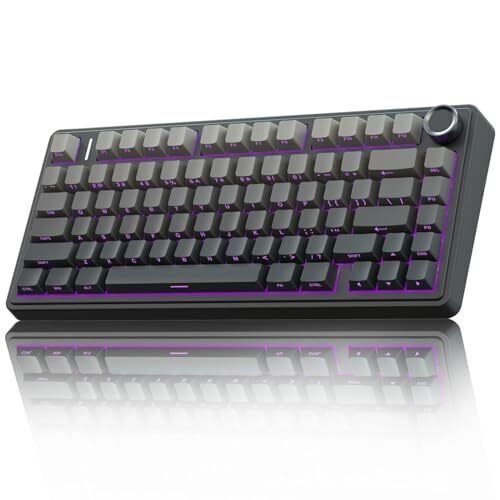 F75 Wireless Mechanical Keyboard,75% Gasket Hot Swappable Custom F75-Black