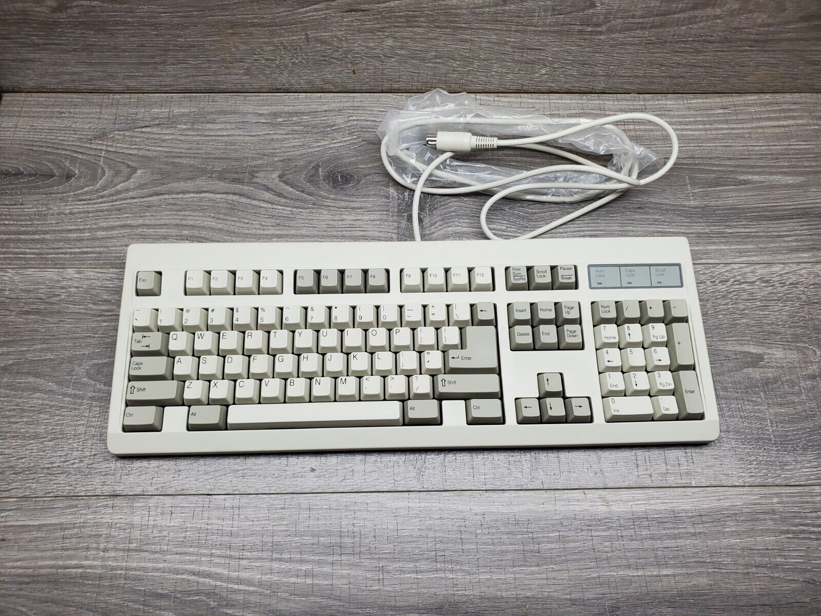 Vintage Clicky Mechanical Keyboard Nmb RT6655T+