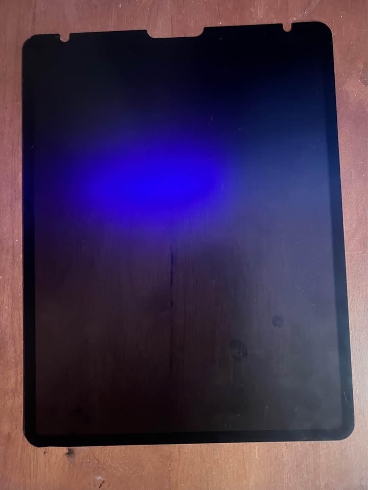 Belkin TruePrivacy Screen Protector for iPad Pro 12.9"