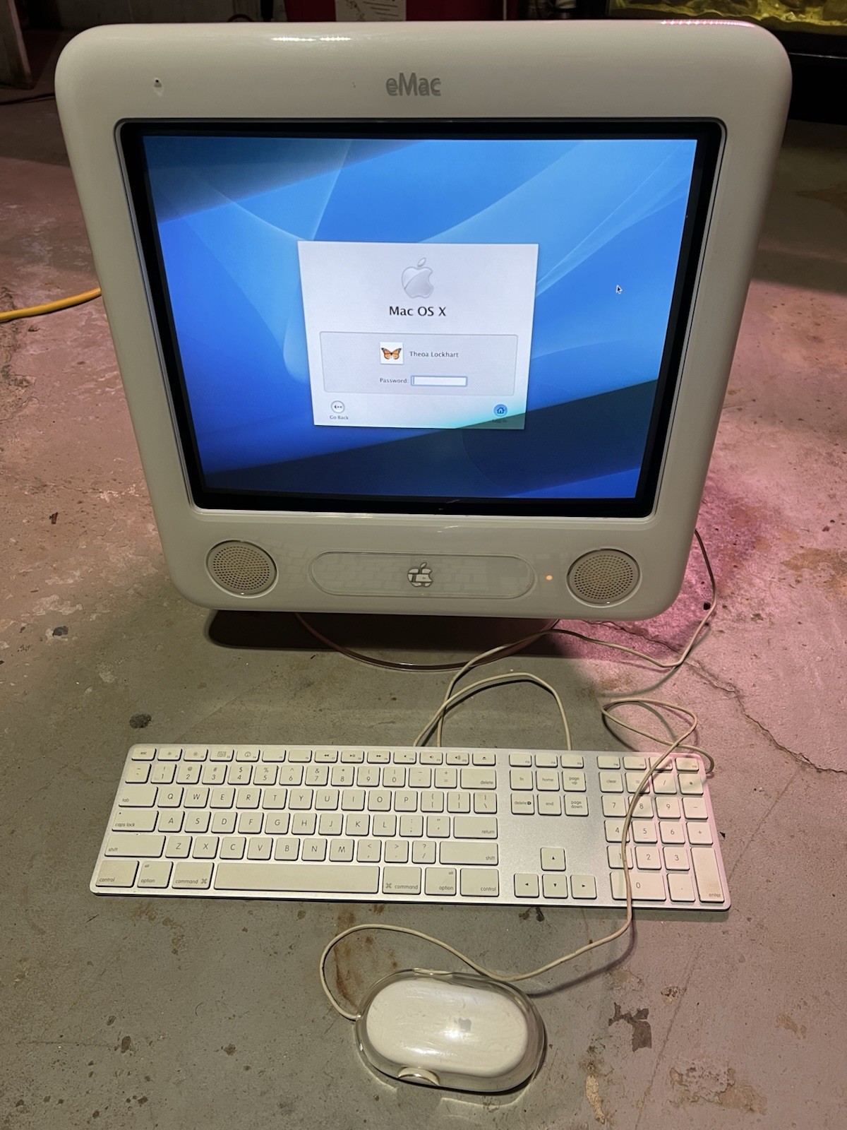 VINTAGE Apple Mac OS X Computer Monitor