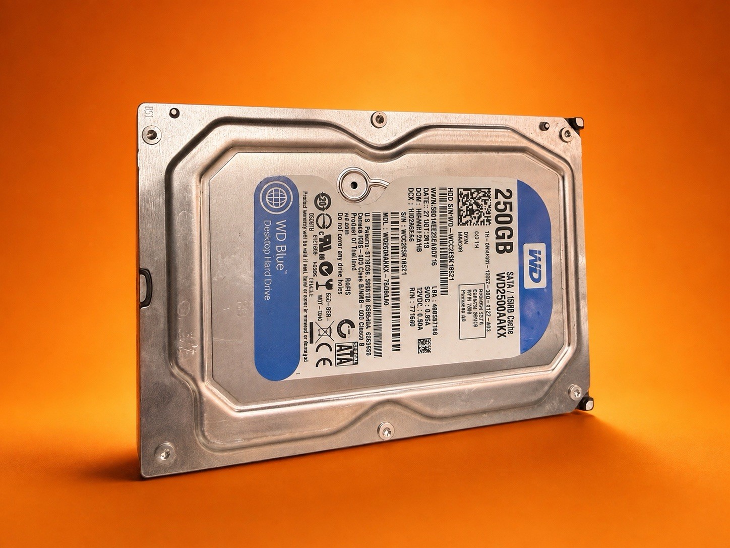 WD 250 Gigabyte 3.5" SATA Hard Drive