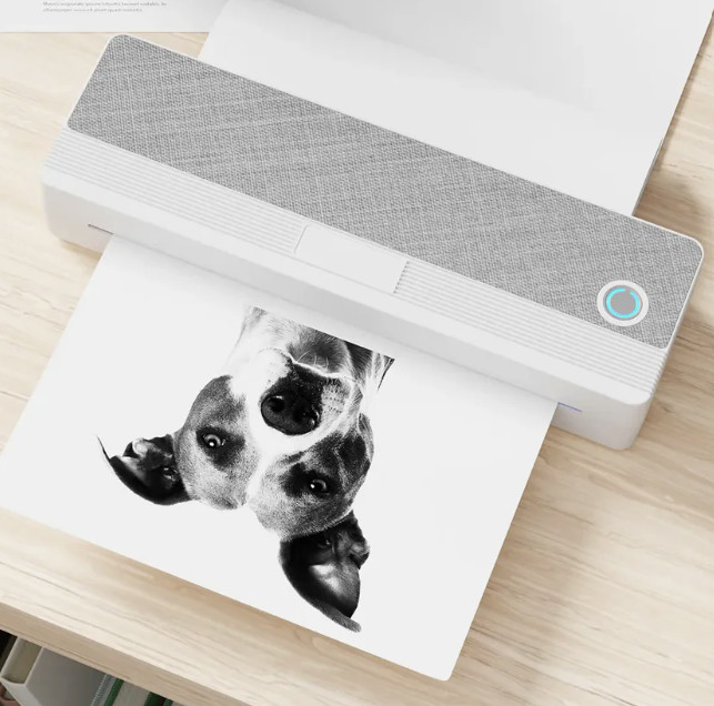 Peripage P81 Portable Wireless Printer, Style# ALD-P810, Color Gray