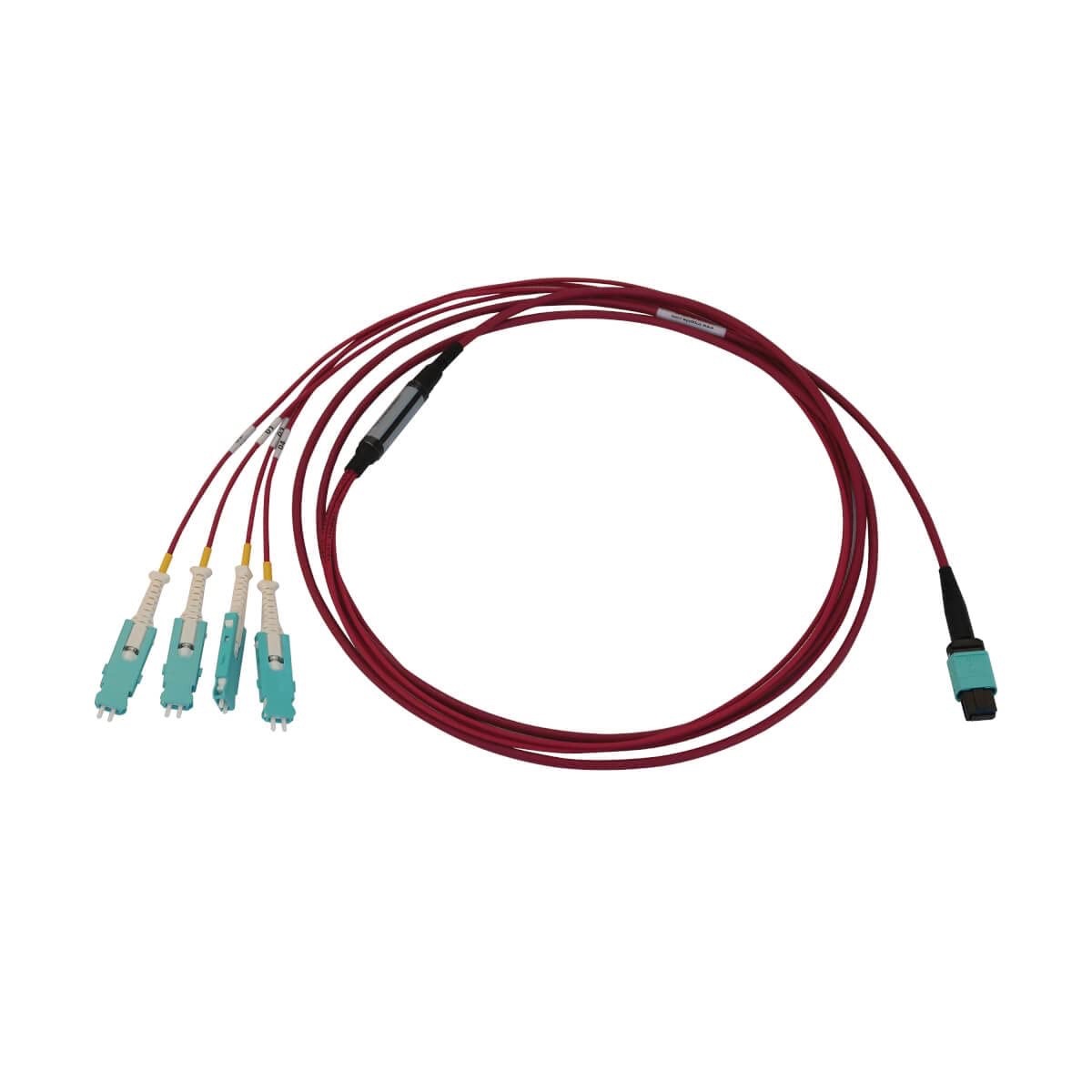 Tripp Lite Breakout Multimode Fiber Cable 400G 50/125 OM4, MTP/MPO-PC to 4X