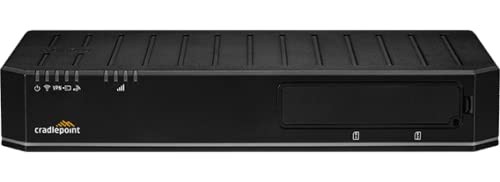 E300 Router with WiFi 300 Mbps Modem 1-yr NetCloud Enterprise Branch Essentials