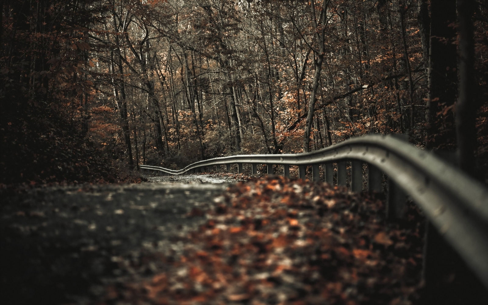 Landscape road trees fall depth of field fence Custom Gaming Mat Desk