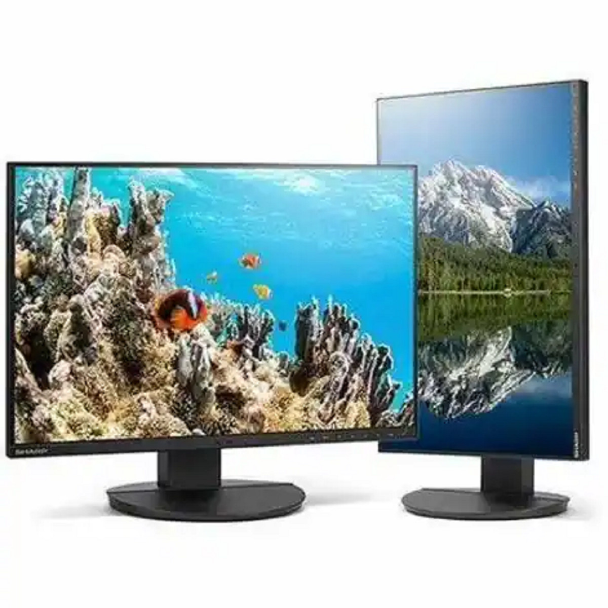 Sharp DD-EA242W MultiSync 24" Class WUXGA LED Monitor, Black