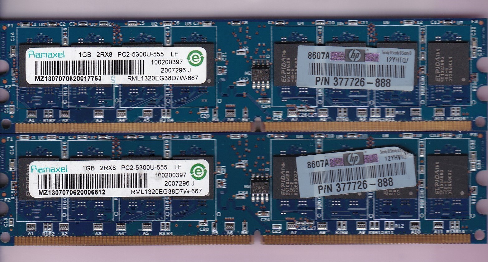 2GB 2x1GB PC2-5300 DDR2-667 RAMAXEL RML1320EG38D7W-667 MEMORY KIT HP 377726-888