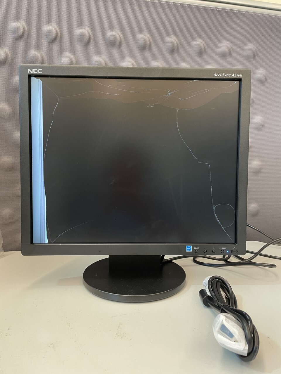 NEC AS193i LED LCD Monitor