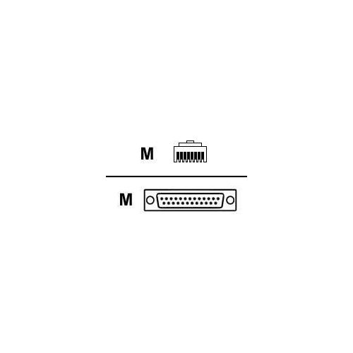 Digi RJ45 to DB25 Cable - RJ-45 Male - DB-25 Male - 4ft (76000195)