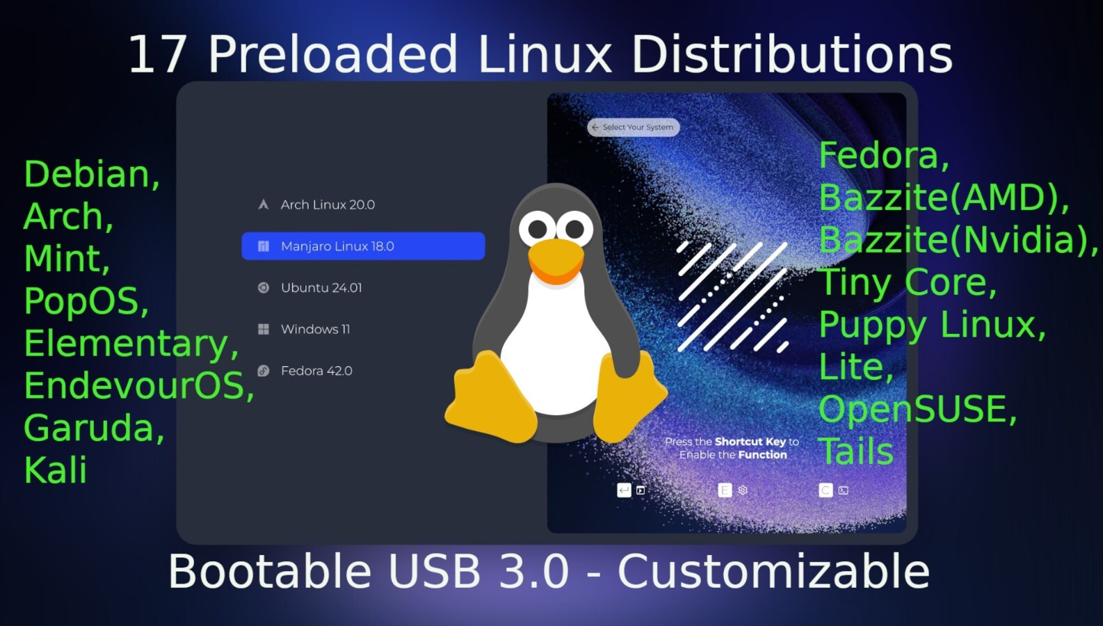 17 in 1 Bootable USB Preloaded with common LINUX Distros - USB 3.0 64GB