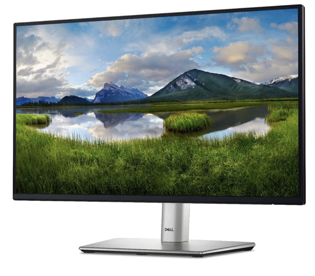 Dell Monitor Display P2422H 24-inch HDMI-VGA-DisplayPort Full HD GRADE B