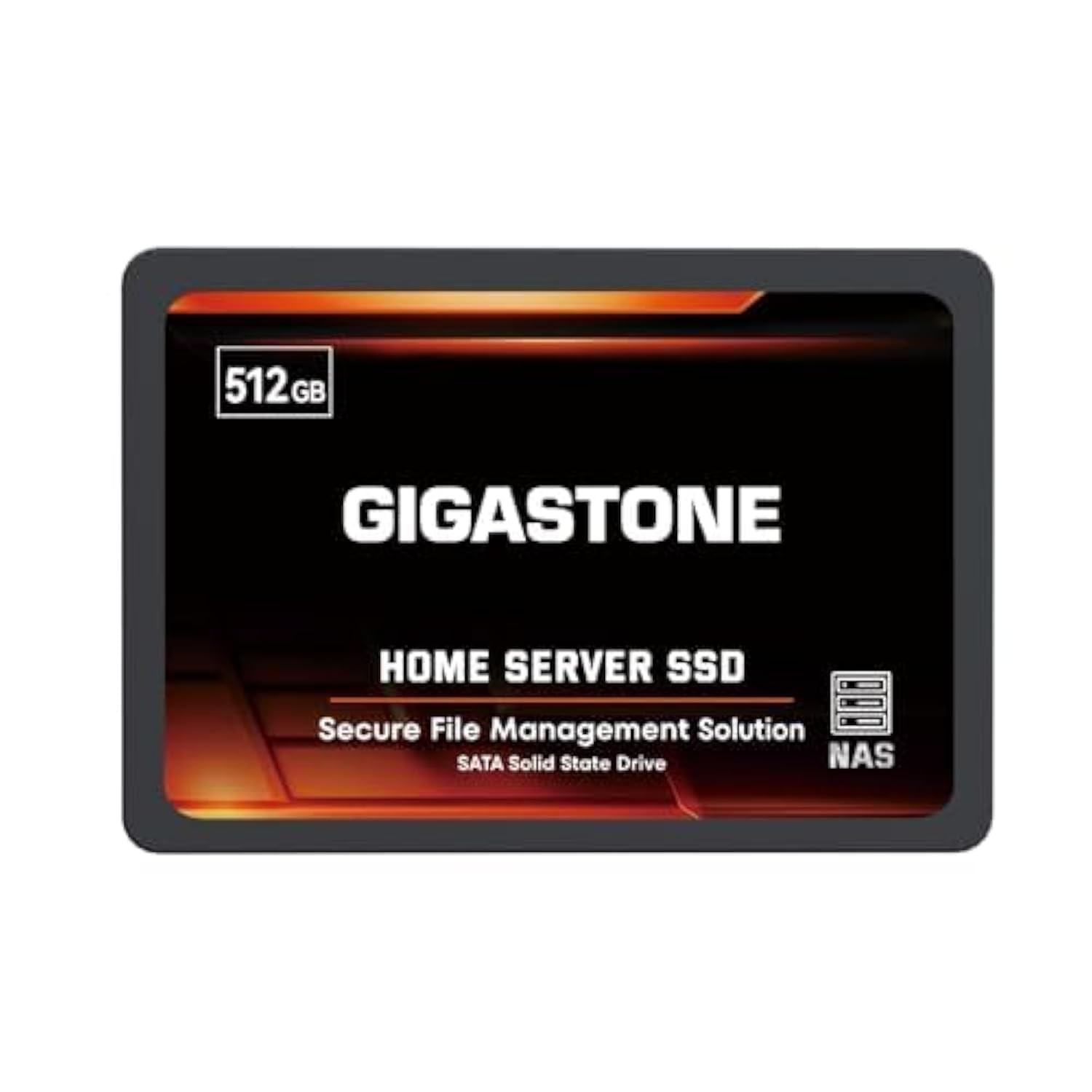 Gigastone 【NAS Certified】 512GB Home 512GB, Server SSD 1-Pack