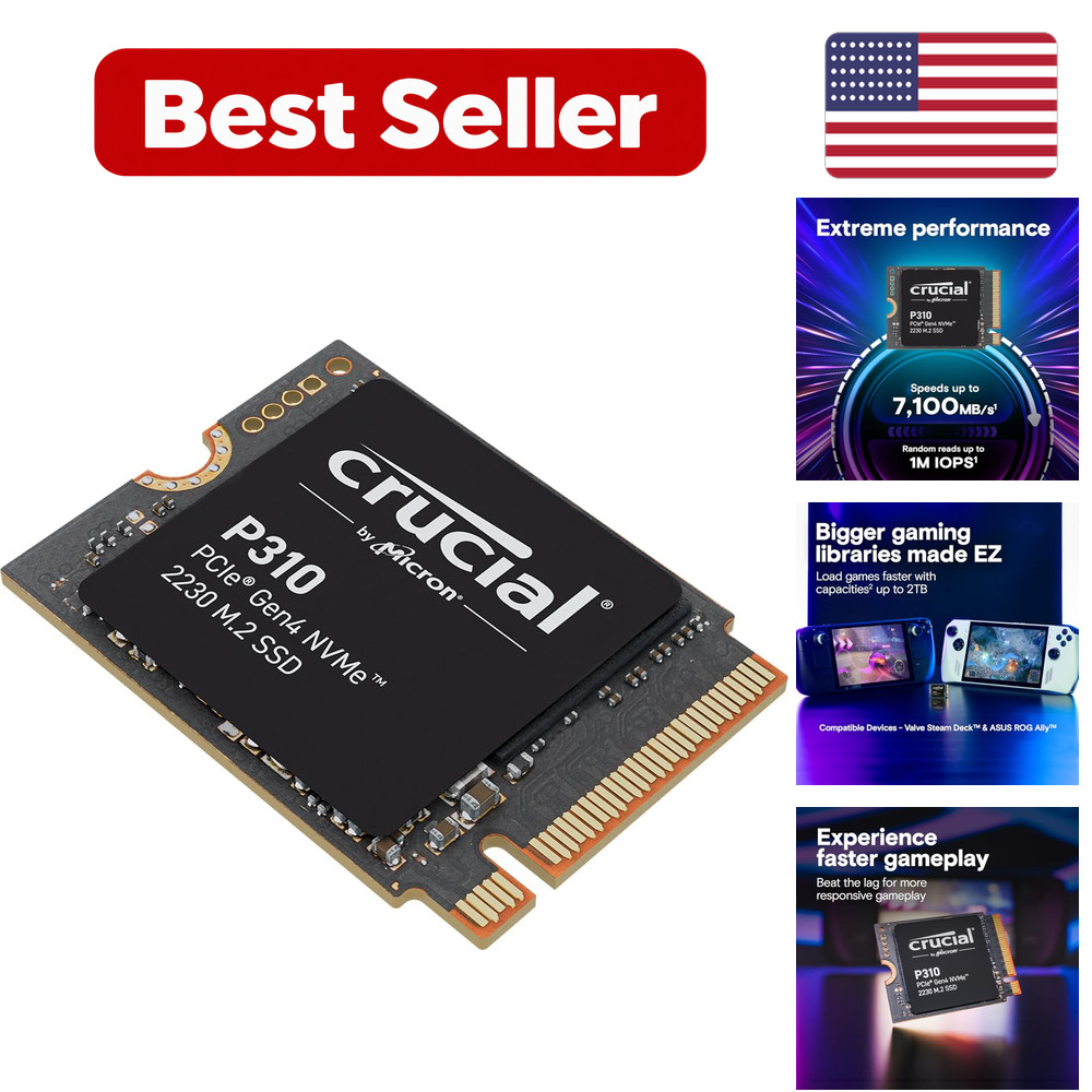 Solid State Drive 2TB Black Plastic P310 PCIe Gen4 NVMe M.2 2230 SSD