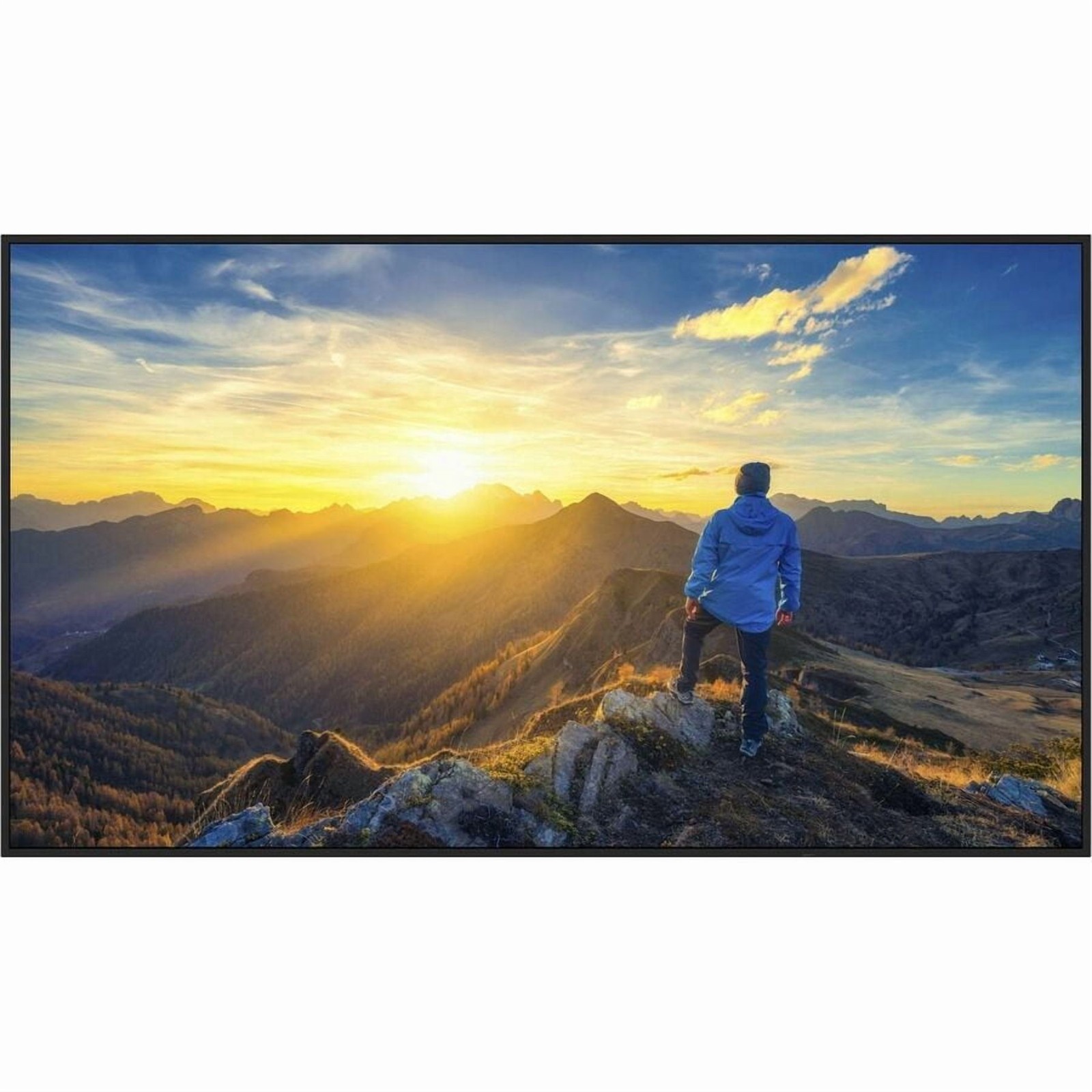 Sharp PN-E329 32in Full HD Commercial Display, Anti-Glare LCD, 1080p, 60Hz,