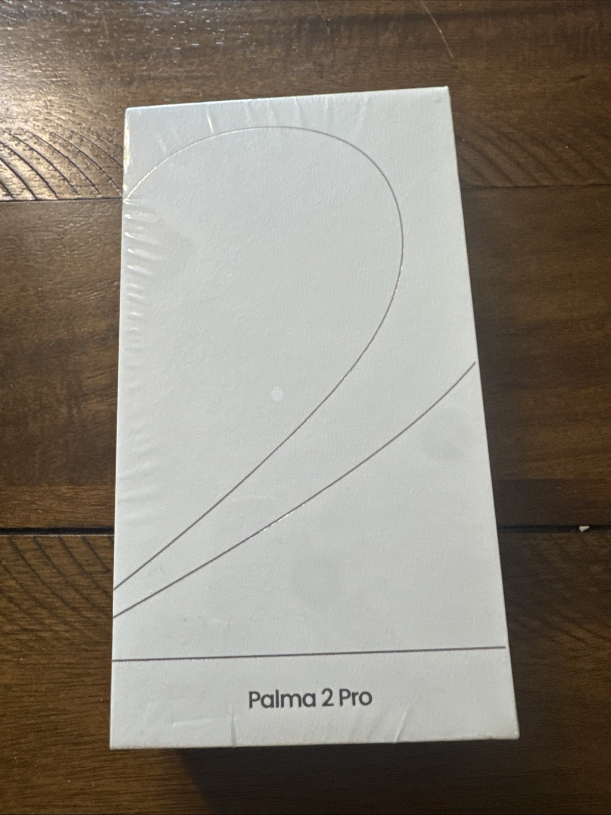 boox palma 2 pro Mobile Epaper
