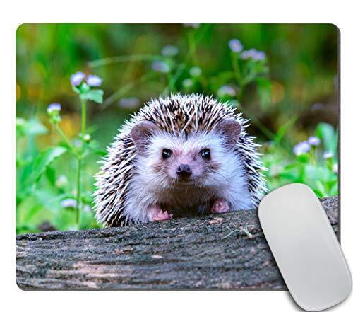 Cute Animal Gaming Mouse pad Custom Dwraf Hedgehog on Stump Personality Desin...
