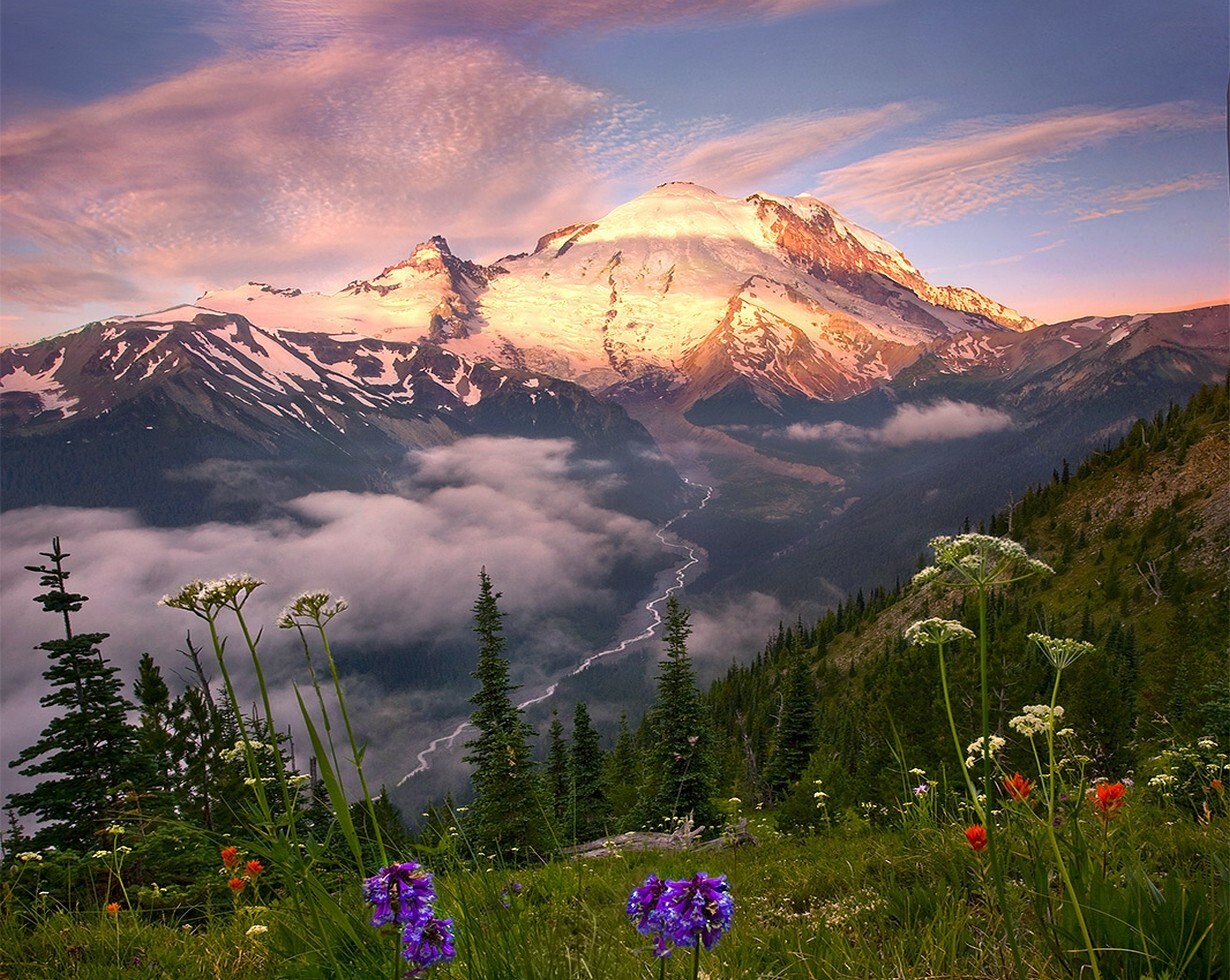 Landscape nature wildflowers mountains snowy peak pine Custom Gaming Mat Desk