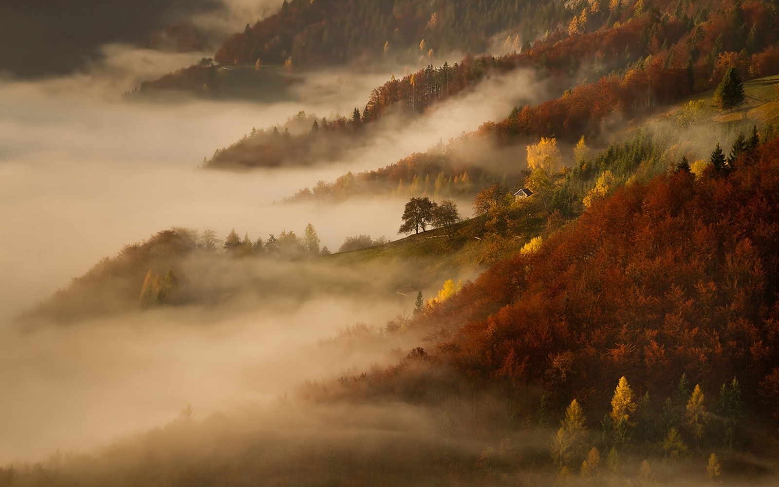 Landscape mist nature morning fall mountains forest Custom Gaming Mat Desk