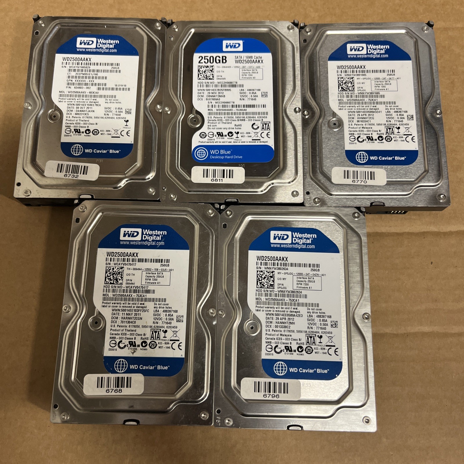 LOT of 5x Western Digital Caviar Blue 250GB Internal 7200RPM 3.5" WD2500AAKX HDD
