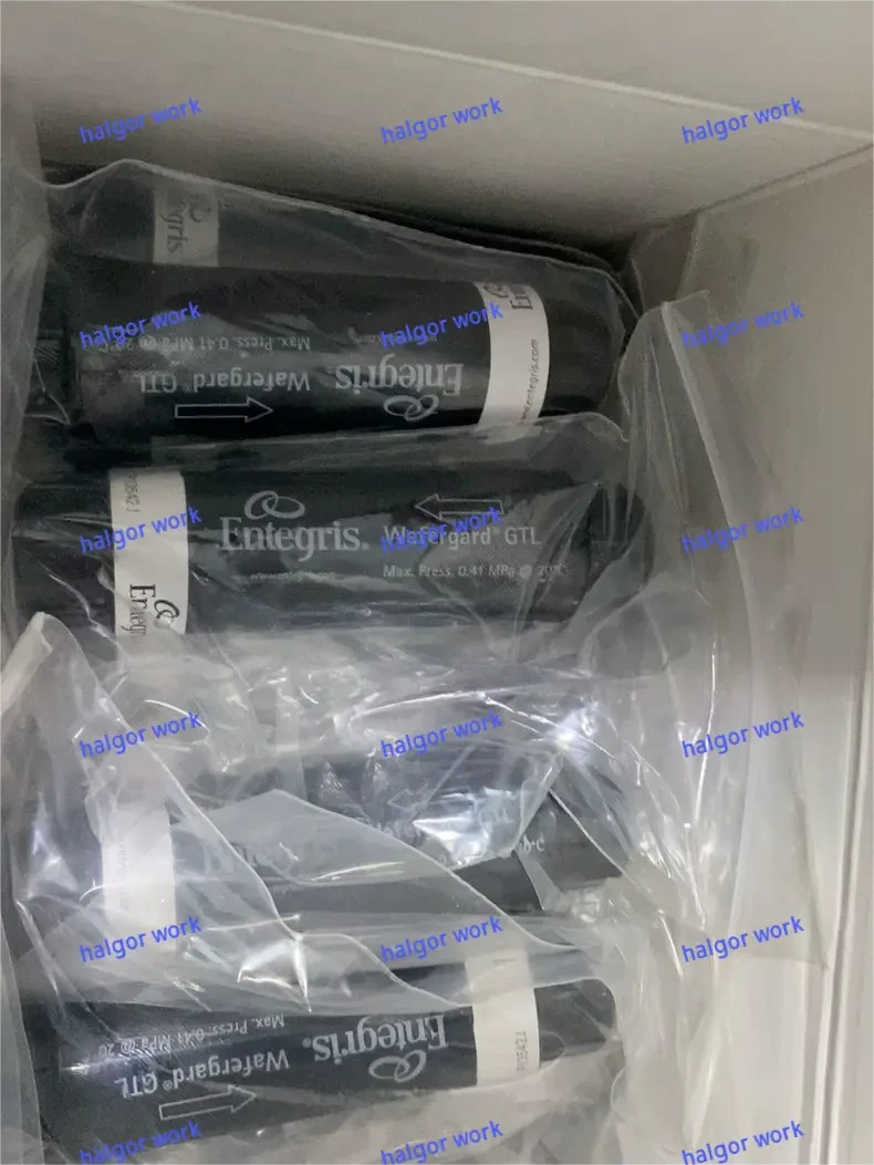 1PCS NEW ENTEGRIS WGFG01DSH NO BOX  Fast transportation