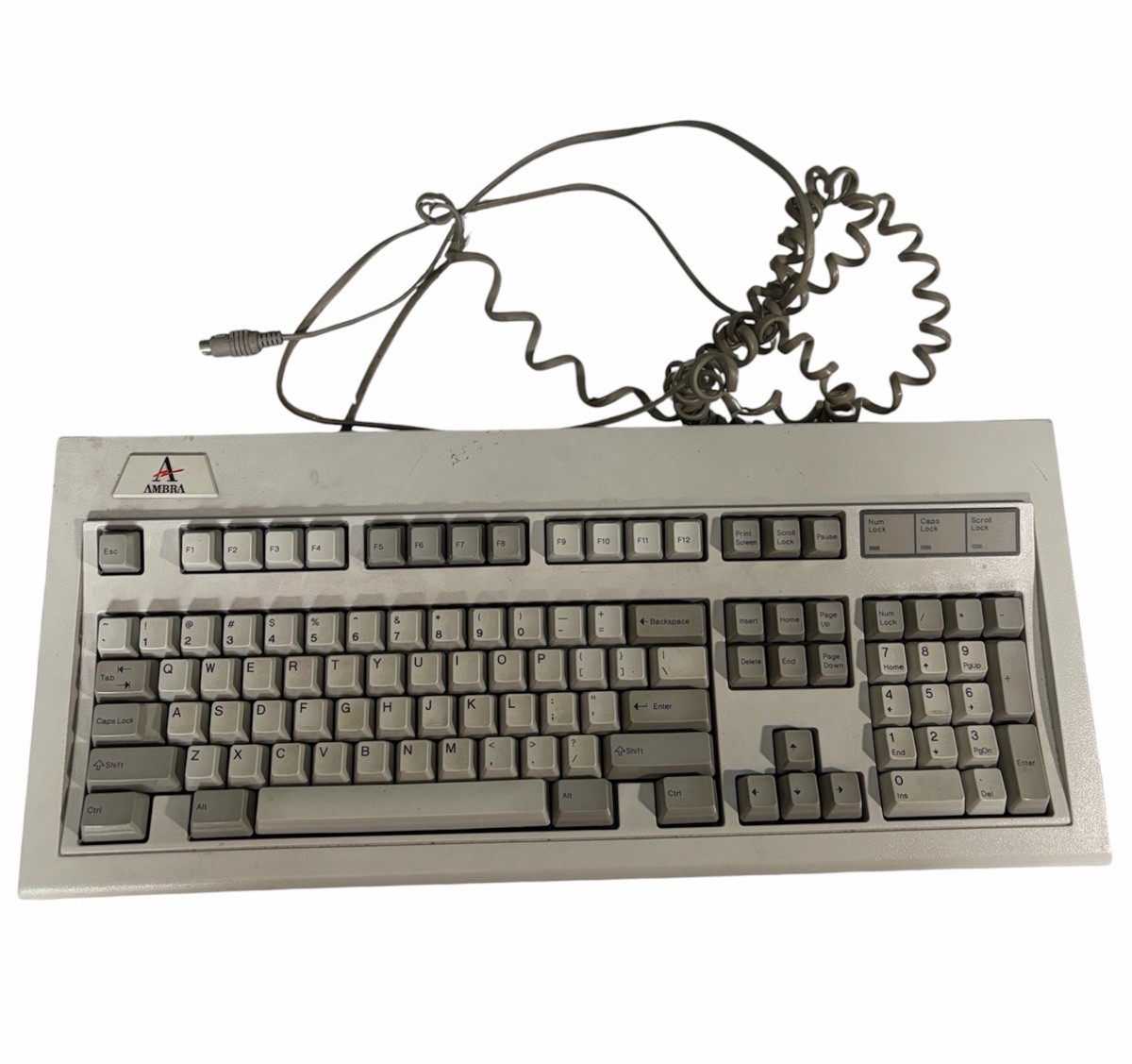 RARE Vintage Ambra IBM / Lexmark Model M Mechanical Wired Keyboard READ