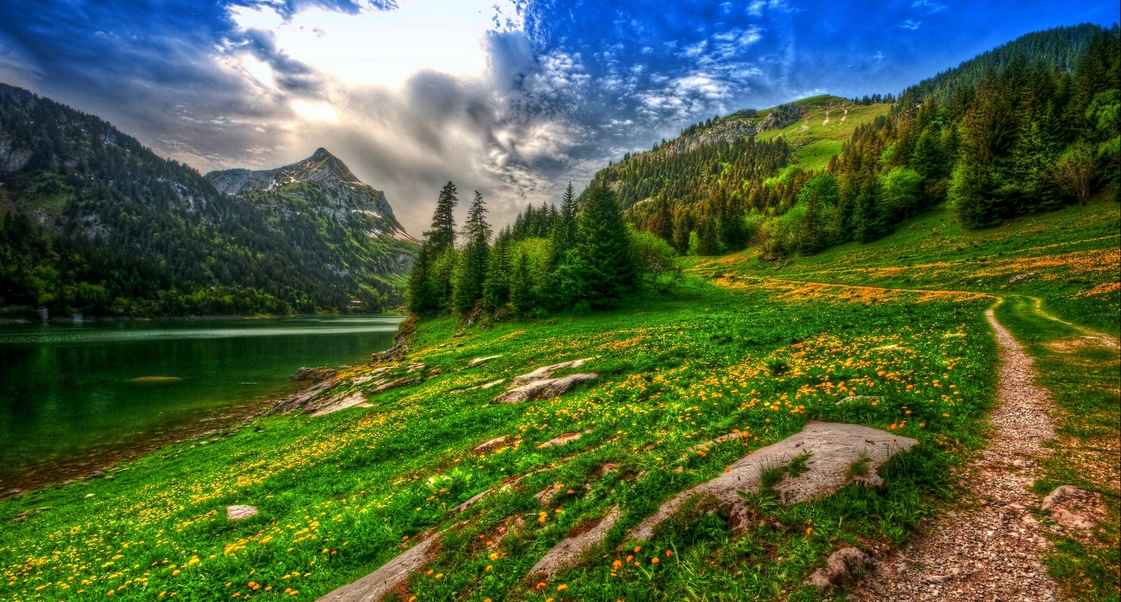 Landscape nature lake mountains forest wildflowers Custom Gaming Mat Desk