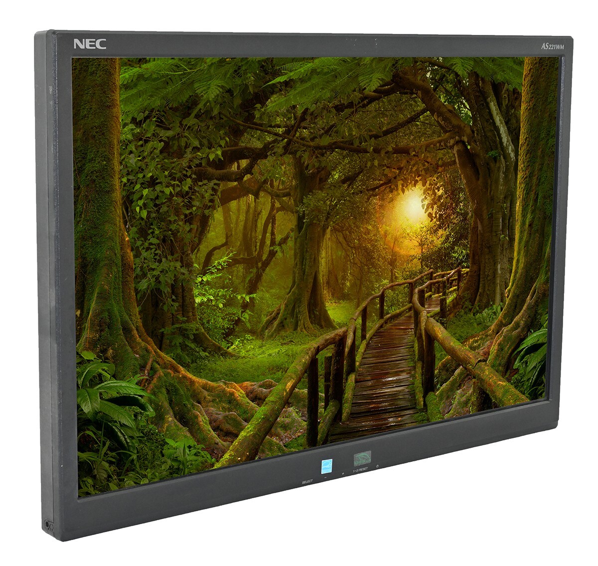 NEC AccuSync AS221WM 22" Widescreen LCD Monitor - No Stand