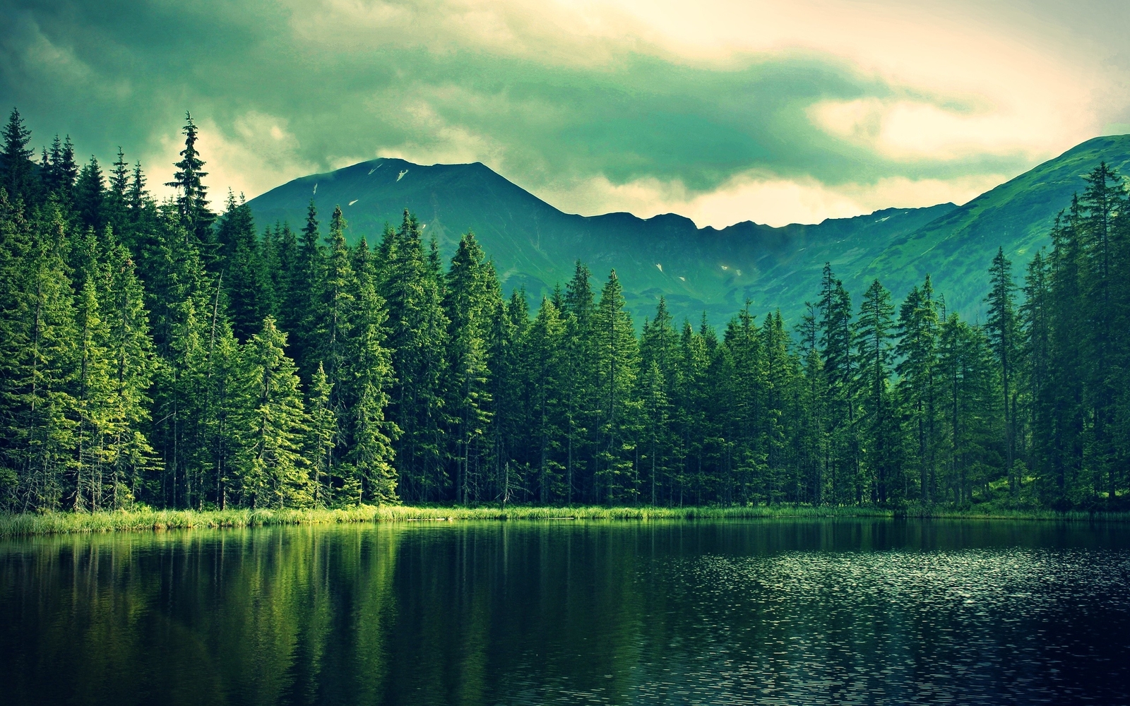 Landscape water nature trees hills pond mountains Custom Gaming Mat Desk