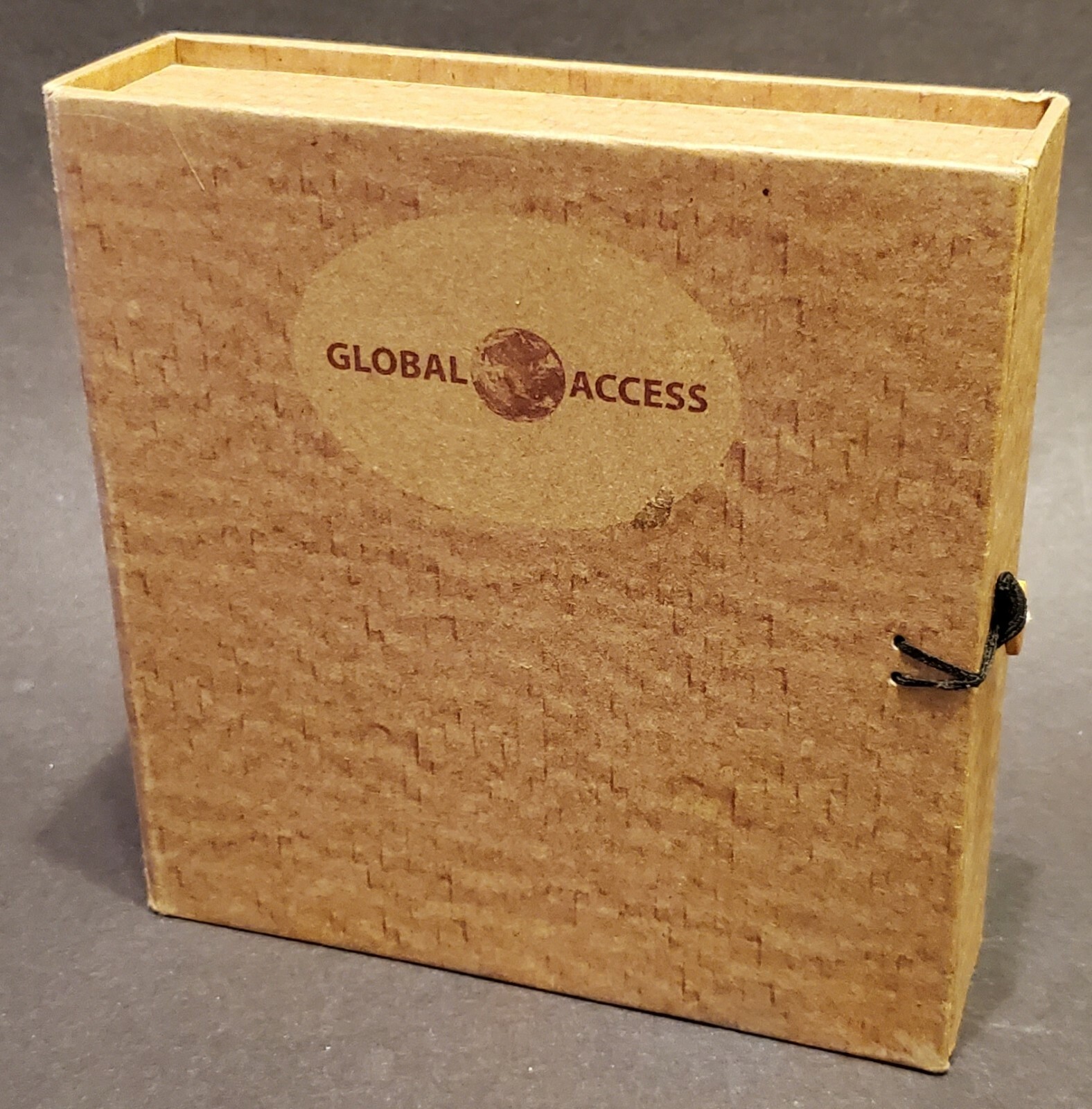 Global Access Easy Immersion: Spanish for PC - 12 Disc CD Rom Set