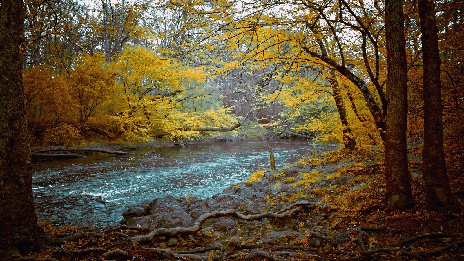 Landscape river nature fall Custom Gaming Mat Desk