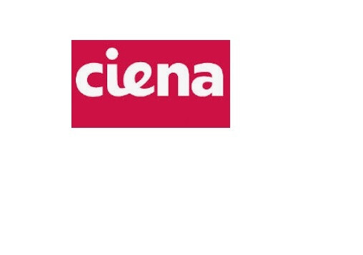 Ciena 160-9501-900 40GBASE-LR4 WOTRDC5FAA QSFP+LR4 40GE LC 10km over SMF
