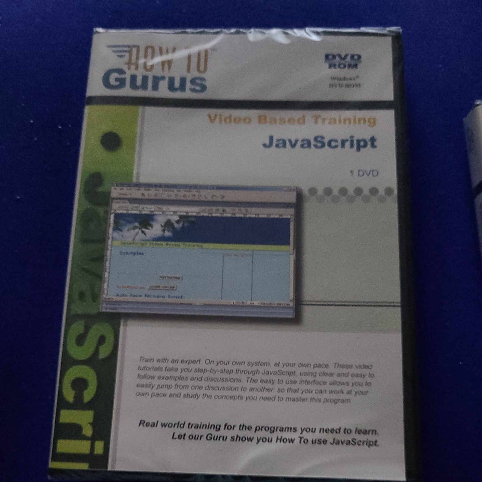 How To Gurus Video Training DVD ROM How To Build a Web Site sealed