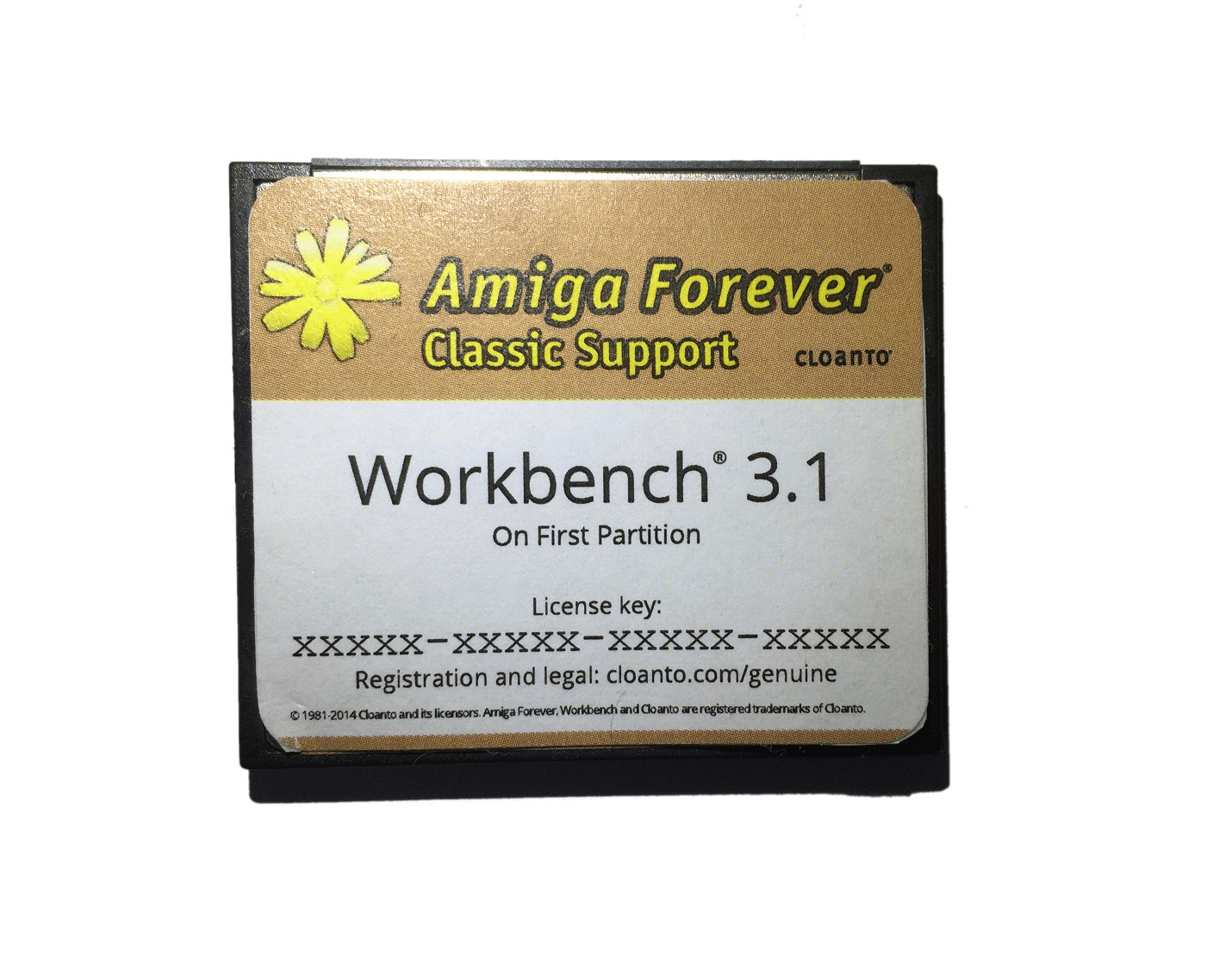 Amiga Workbench System 3.1 on 4GB CF Card for 600 1200 Hard Drive HDD