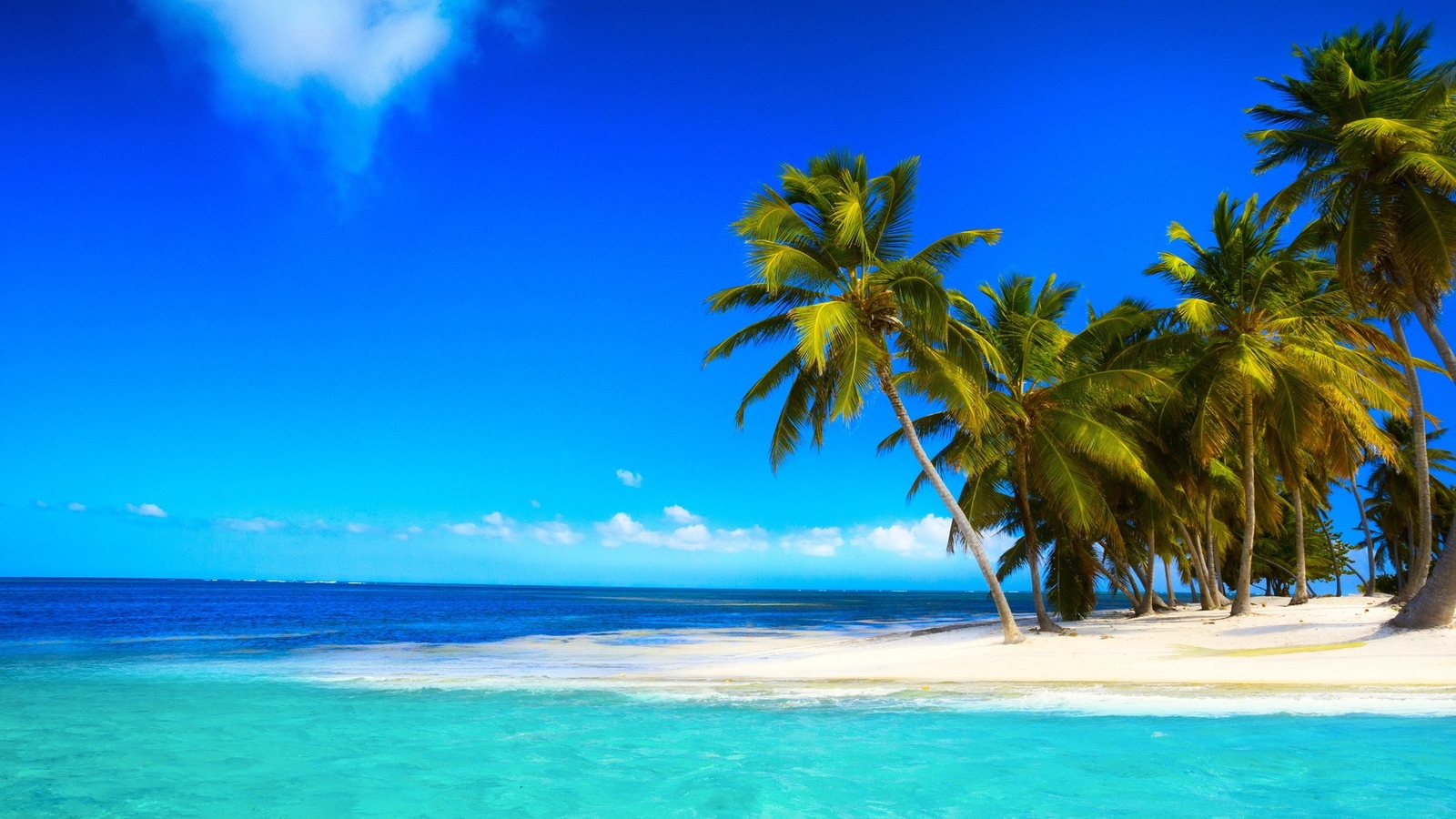 Landscape nature tropical palm trees Custom Gaming Mat Desk