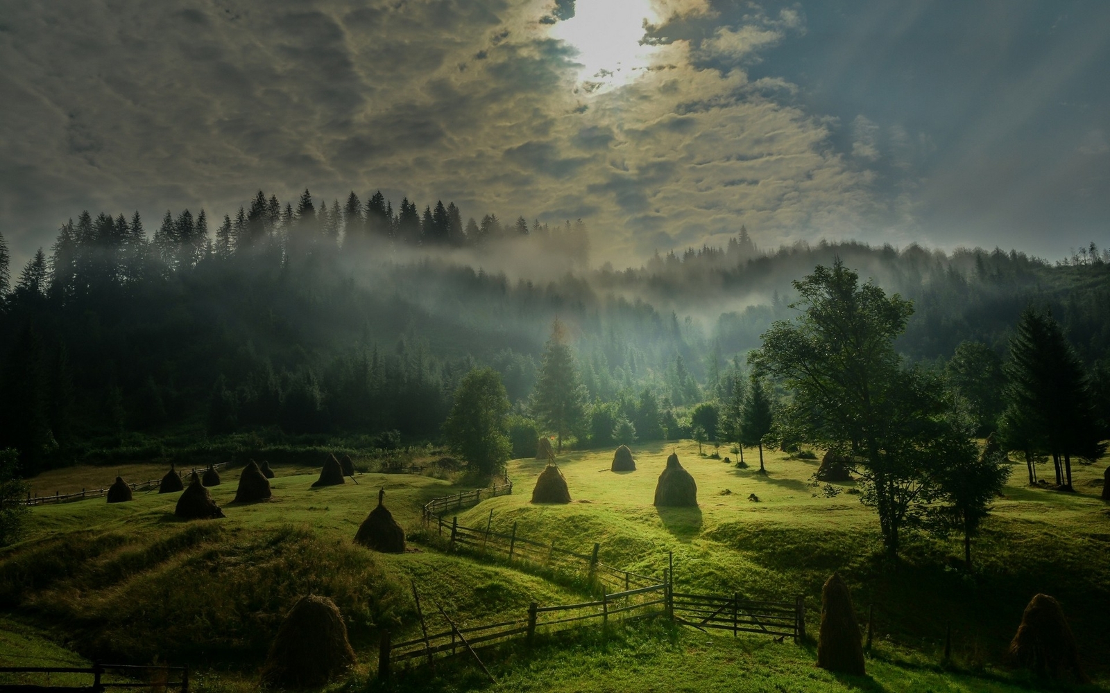 Landscape nature morning sunlight sky mist field forest Custom Gaming Mat Desk