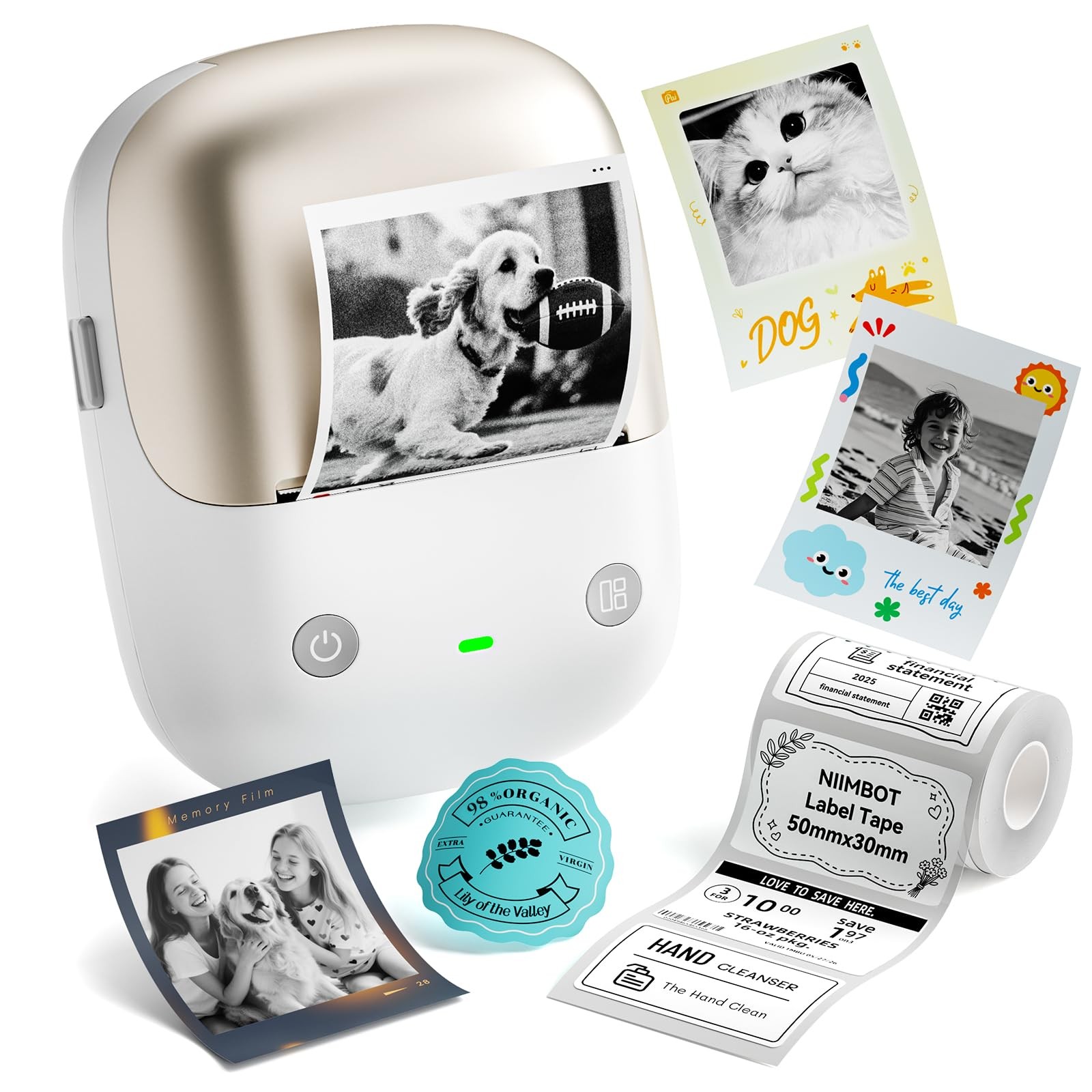 B2 Pro Label Maker Machine with Tape, Supports Photo Printing, Gold