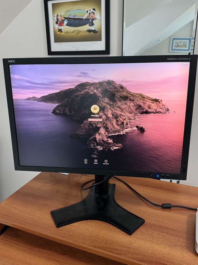 nec multisync monitor