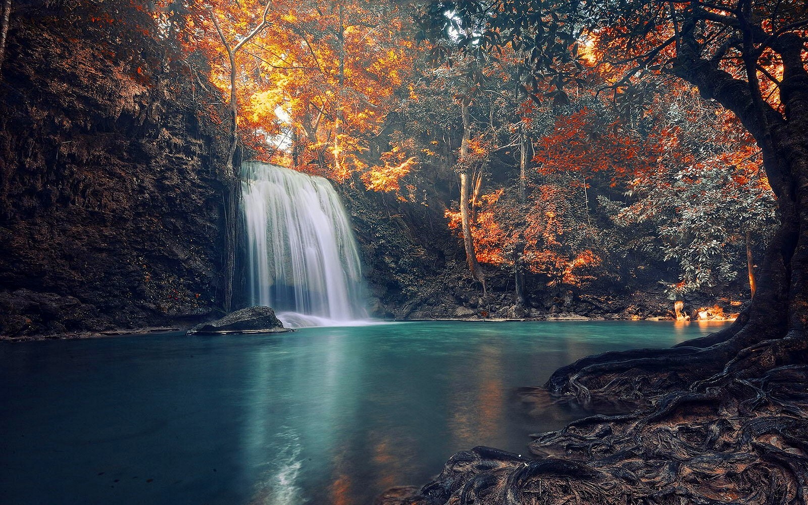 Landscape nature waterfall trees roots fall tropical Custom Gaming Mat Desk