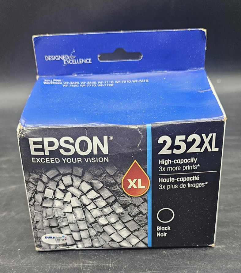Epson Exceed Your Vision 252LX High Capacity Black