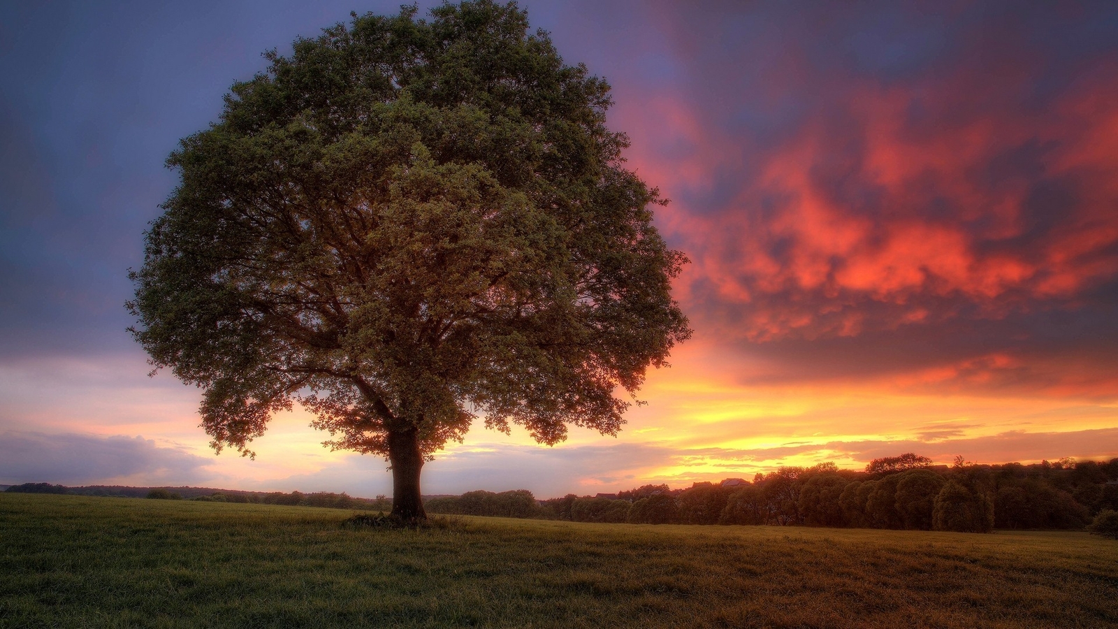 Landscape trees sunset skyscape purple sky field orange Custom Gaming Mat Desk