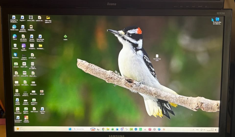 samsung 27" S27E310
