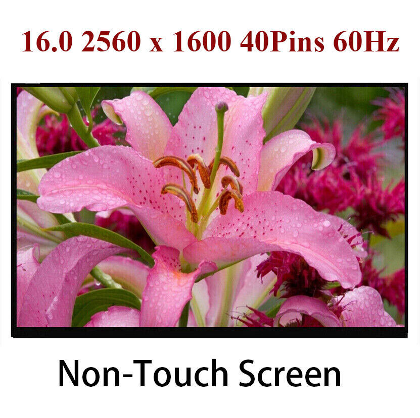A+ NE160QDM-N63 V8.0 FRU:5D10V82383 for B160QAN02.M MNG007DA1-4 LCD Screen Panel
