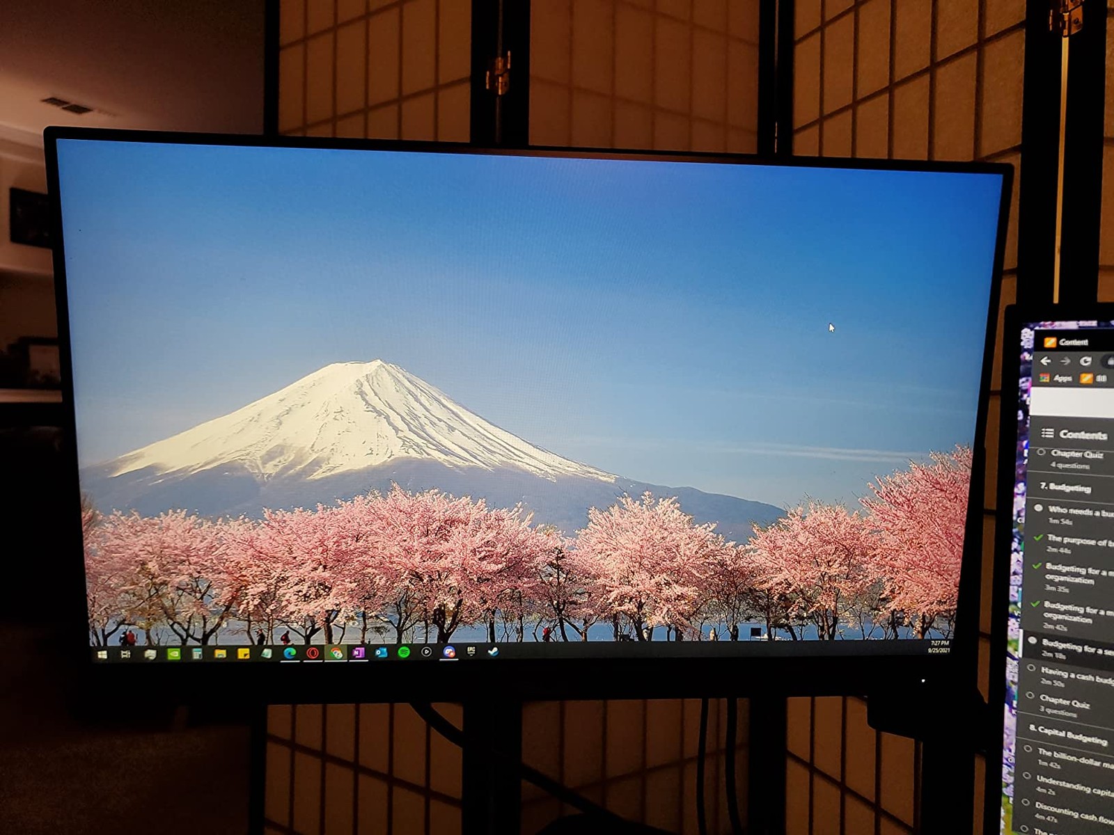 ASUS ProArt PA247CV 24" IPS Full HD USB-C Monitor