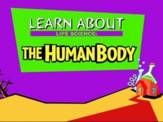 Learn About Life Science: The Human Body PC MAC CD kids major systems anatomy
