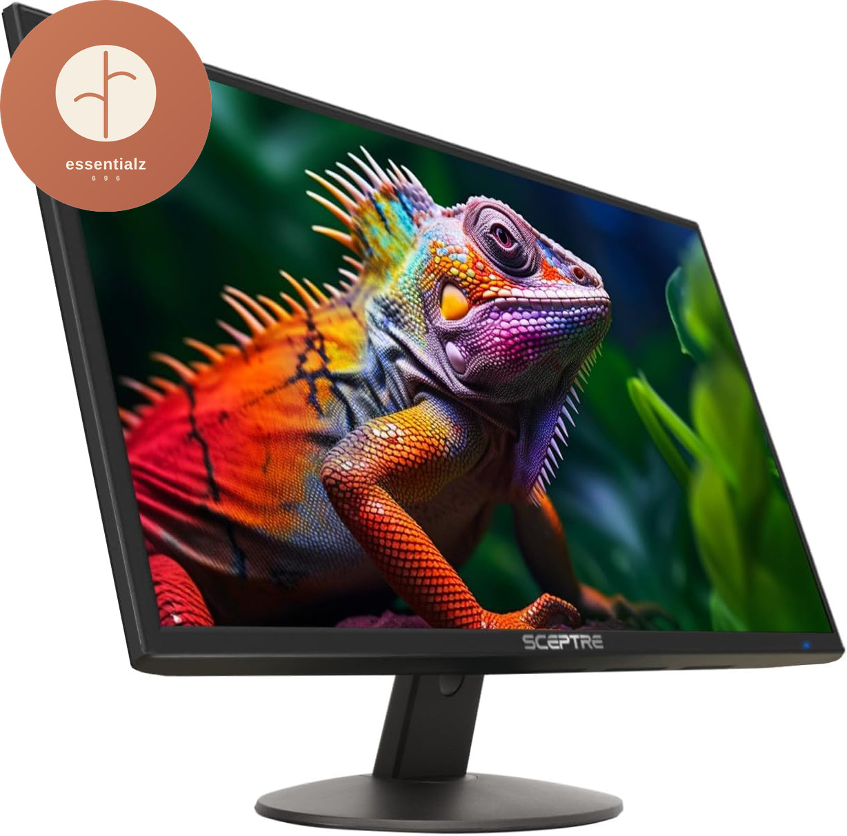 Sceptre 24" 1080P LED Monitor, 99% sRGB, HDMI, VGA, Built-In Speakers