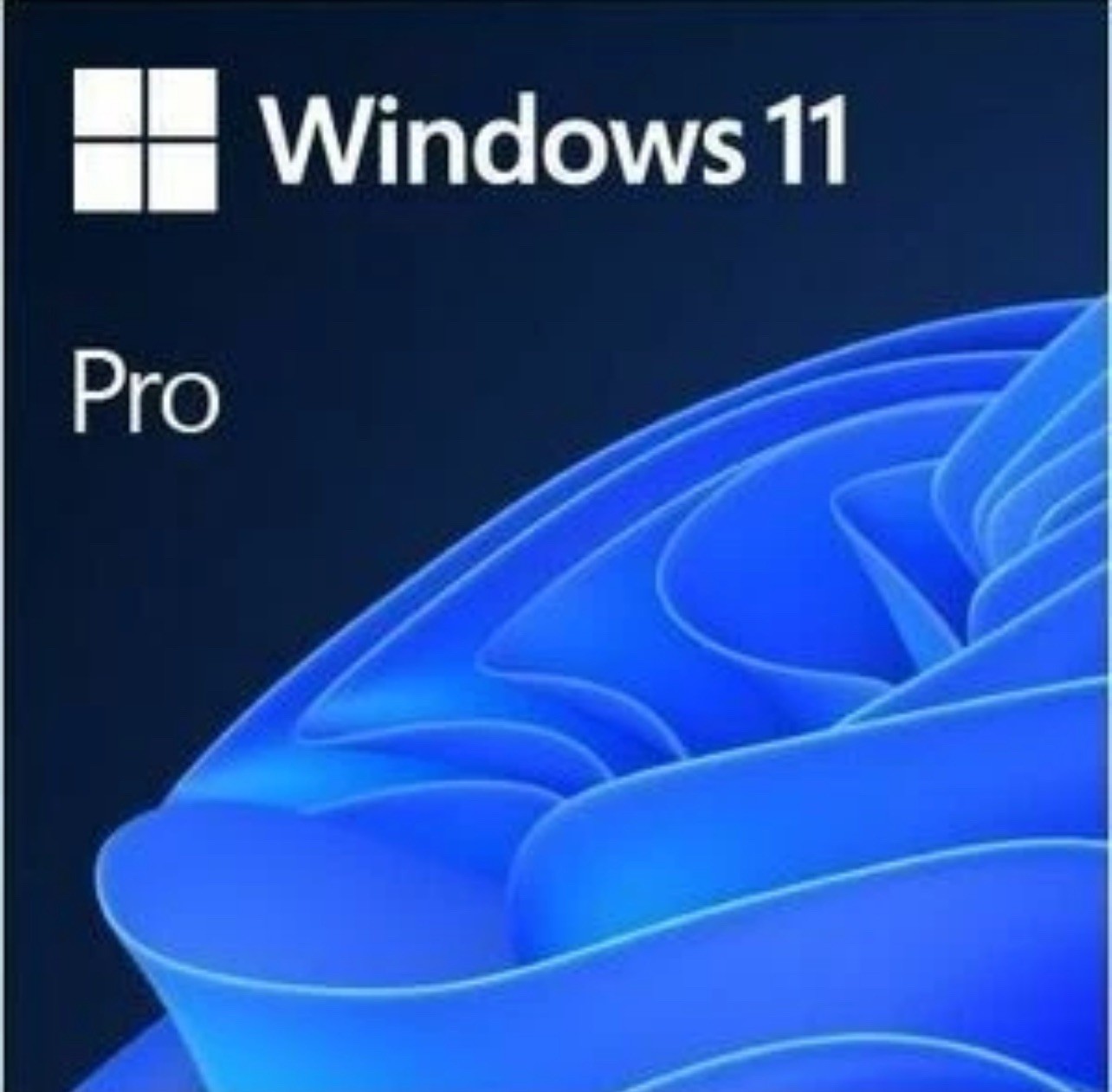 Windows 11 Pro 64-Bit USB Flash Drive Full Retail Version 