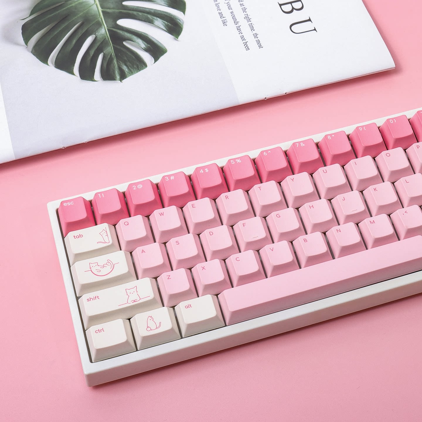 Minimalist Small Legends White Pink Cute Kawai Cat Cherry Profile Keycap Set