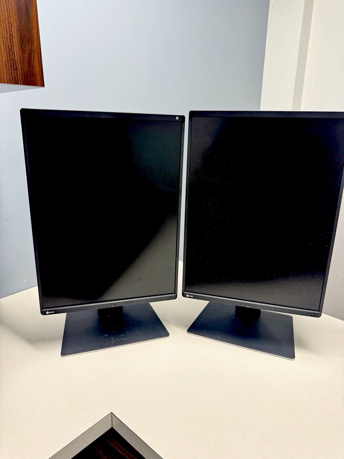 EIZO RadiForce RX360 21in LCD Monitor Pair Black 2048x1536 DVI-D